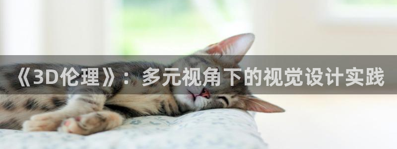 age动漫网