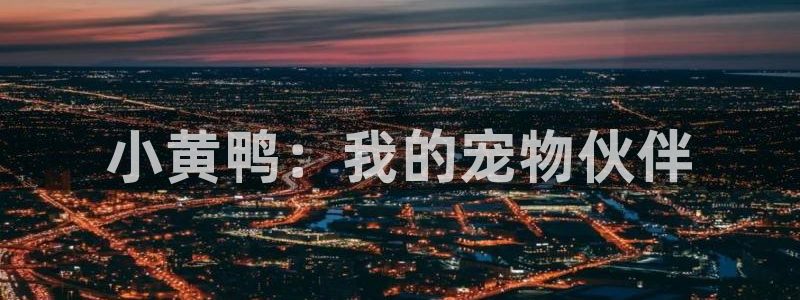 age动漫网上看