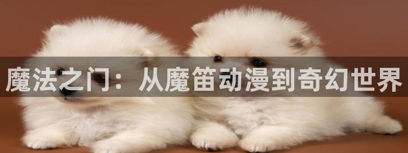 age动漫官网入口老版本