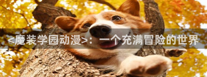 age动漫下载网