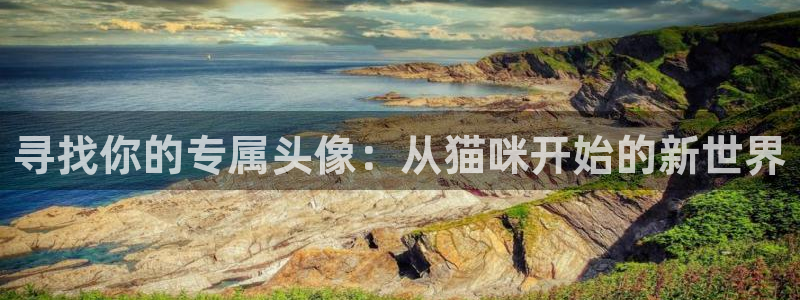 age动漫网上看：寻找你的专属头像：从猫咪开始的新世界