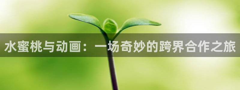 age动漫官网入口老版本