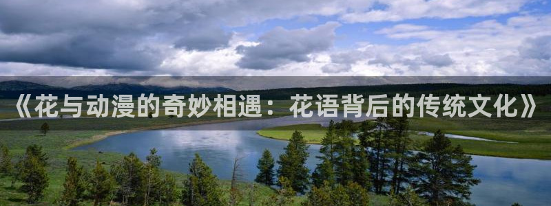 age动漫下载入口