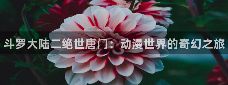 age动漫