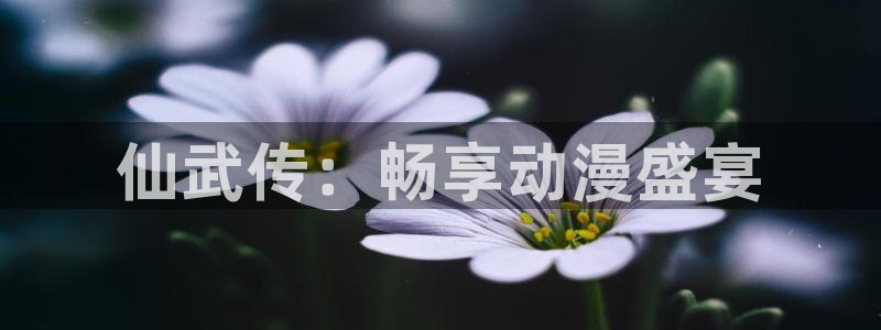 age动漫