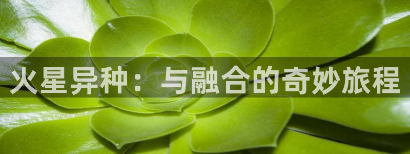 age动漫omofun：火星异种：与融合的奇妙旅程