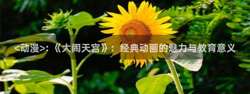 age动漫专注动漫的门户网站：<动漫>: 《大闹天宫》：经典动画的魅力与教育意义